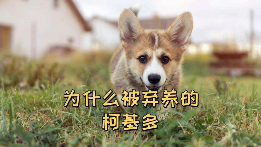admin 第85页