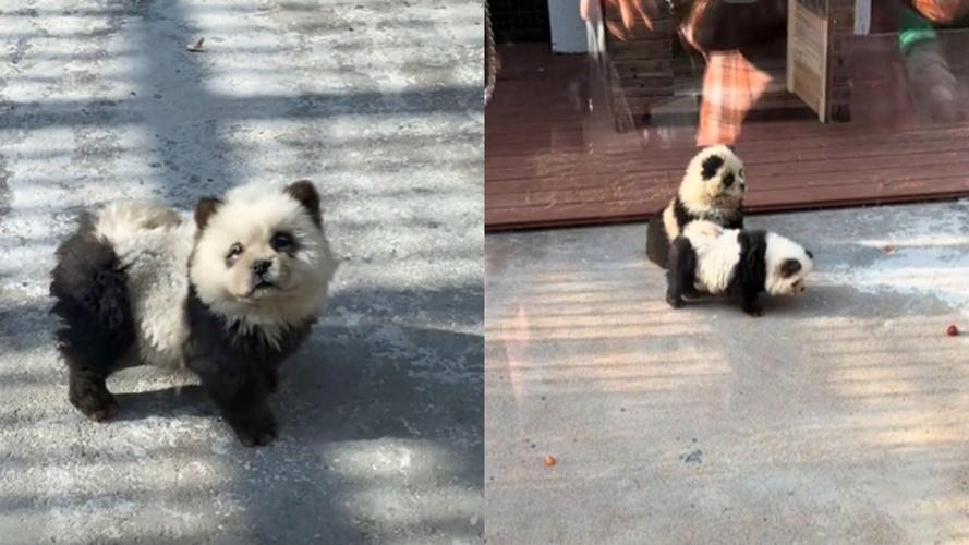 香港澳门 第17页
